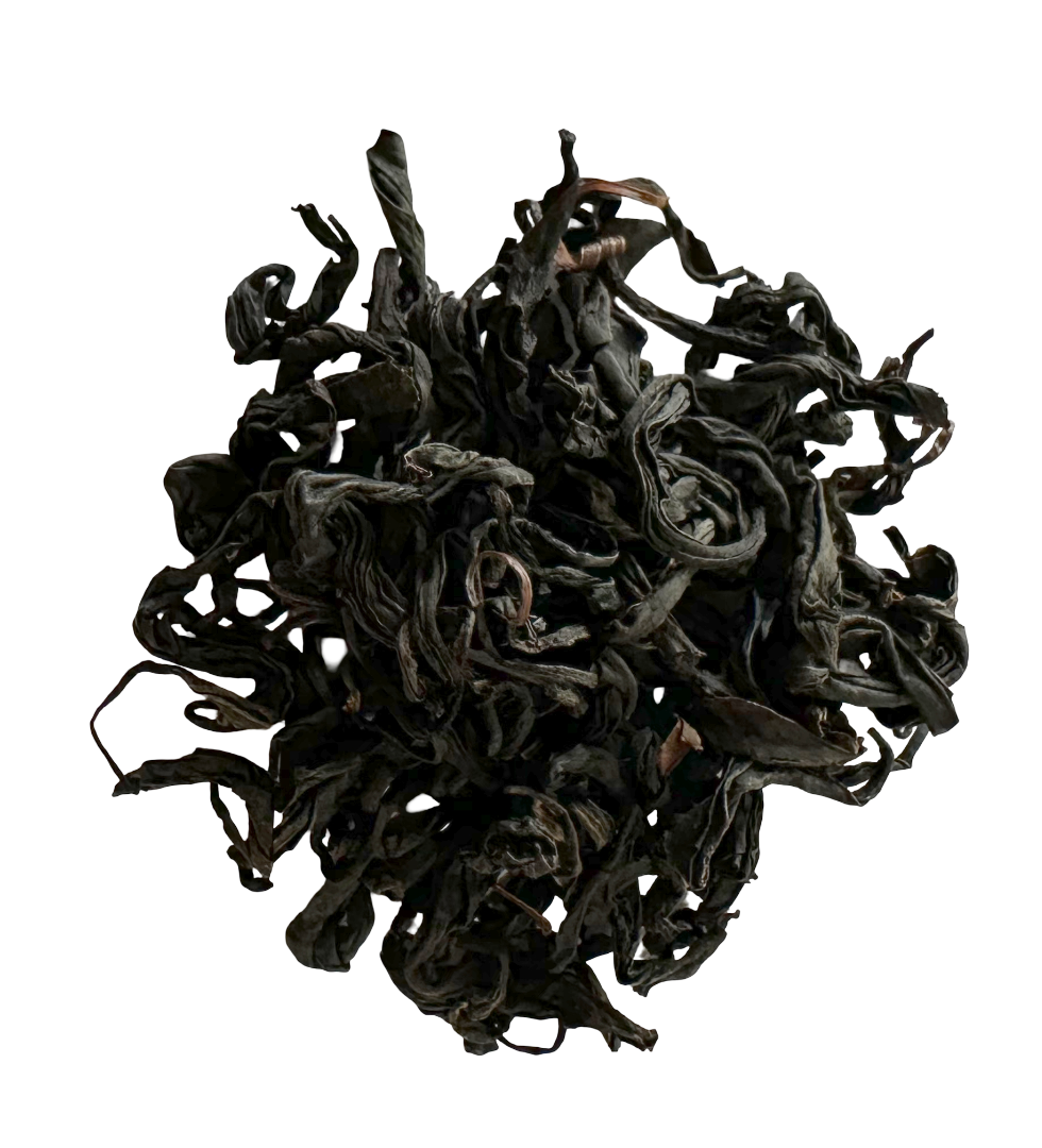 Wild Grusinia OP