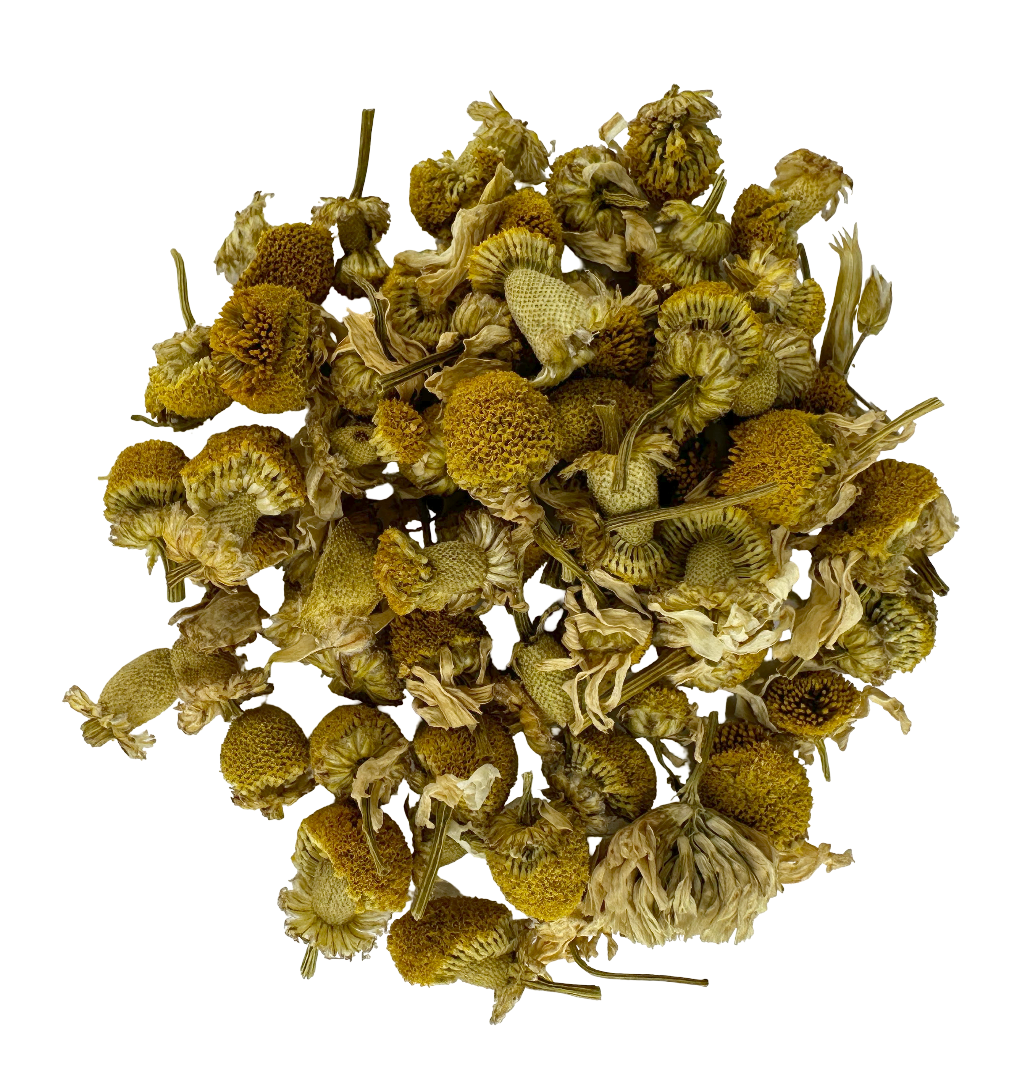 European Chamomile