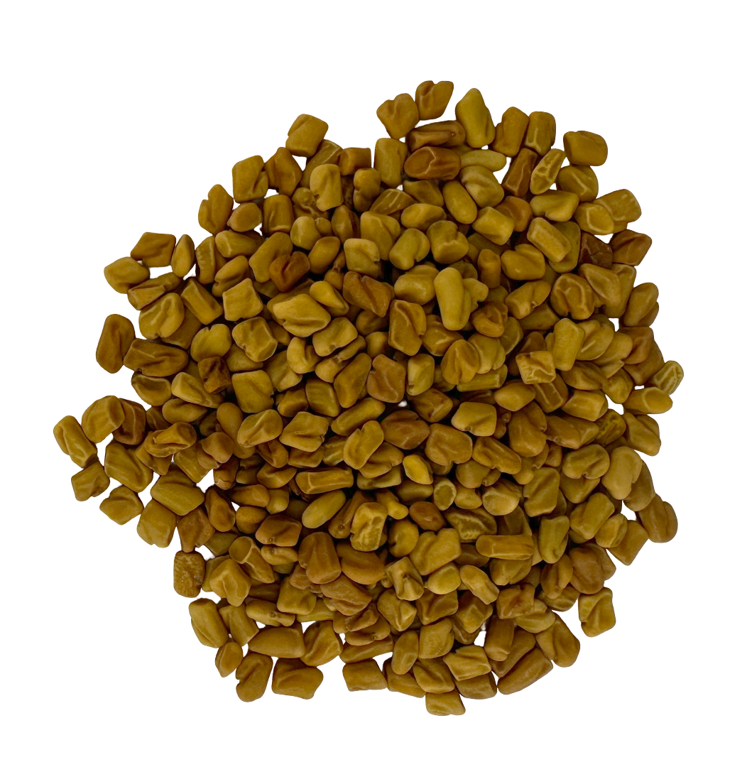 Fenugreek Seed