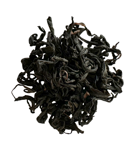 Wild Grusinia OP