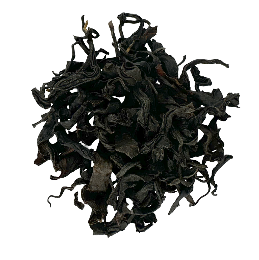 Wild Grusinia OP
