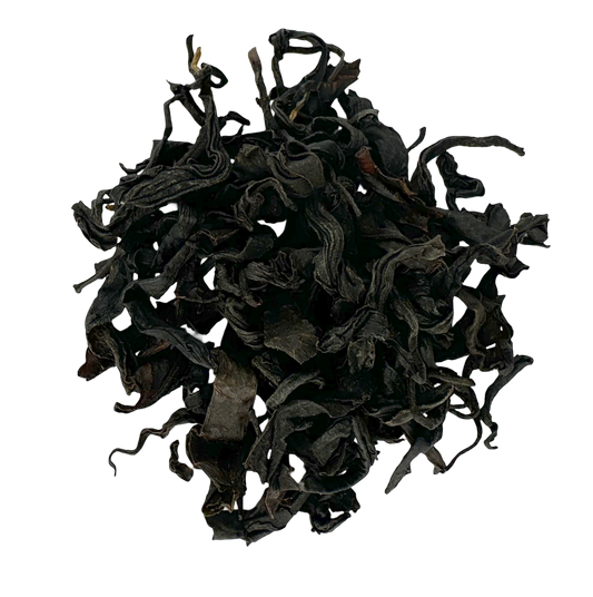 Wild Grusinia OP