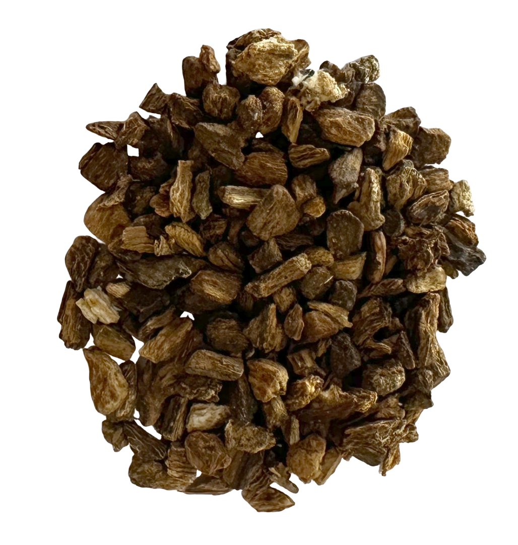 Burdock Root
