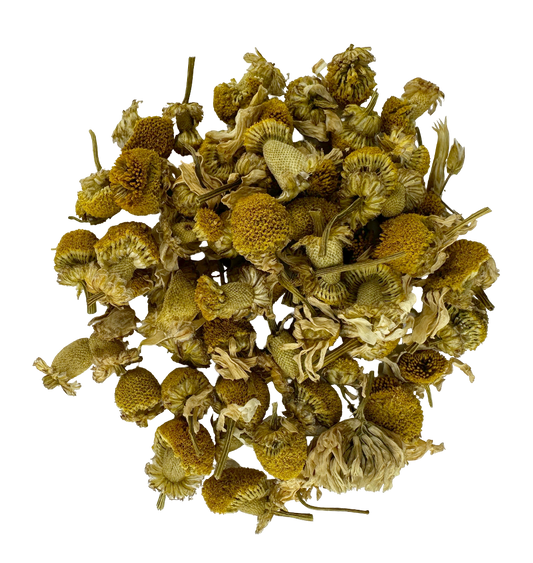 European Chamomile
