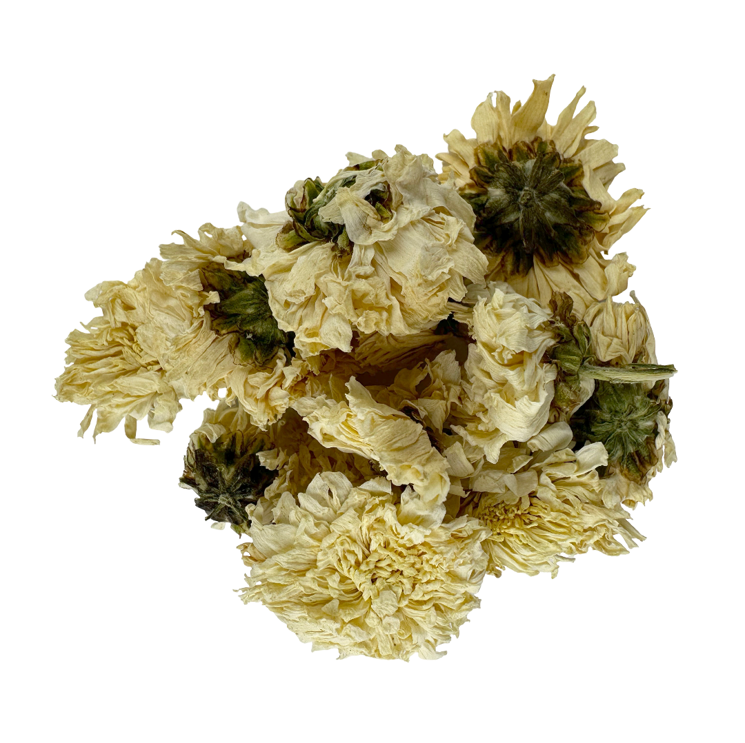 Chrysanthemum Flower