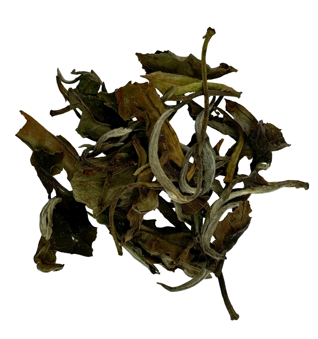 Bai Mu Dan